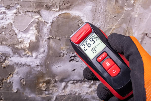 Best Mold Damage Repair  in Morrisville, NC