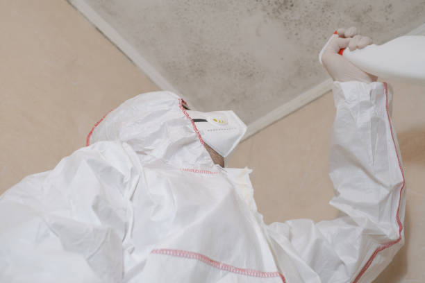 Best Mold Testing and Removal  in Morrisville, NC