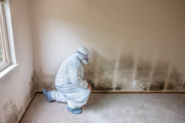 Best Crawl Space Mold Removal  in Morrisville, NC
